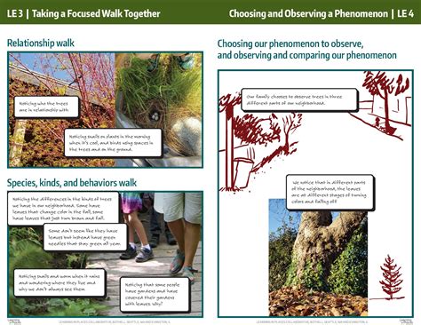 storyline examples 2021.